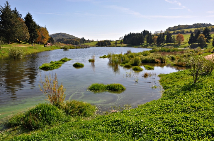 Lac du Ronzey - Yzeron