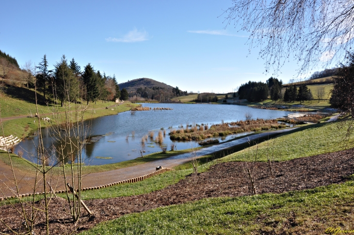 Lac du Ronzey  - Yzeron