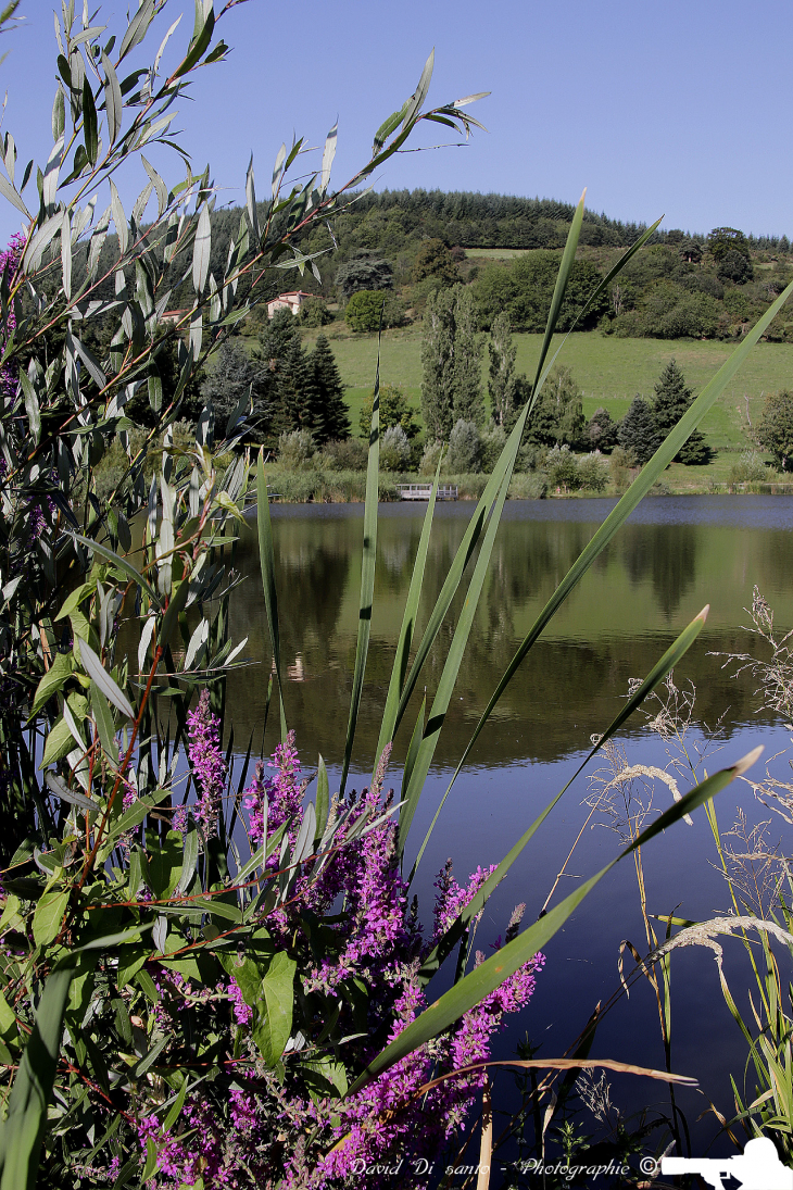 Vue du lac de Ronzey - Yzeron