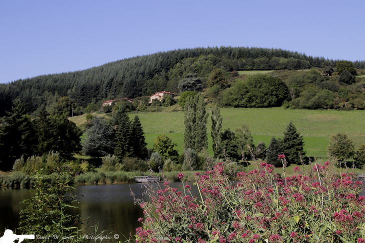 Vue du lac de Ronzey - Yzeron