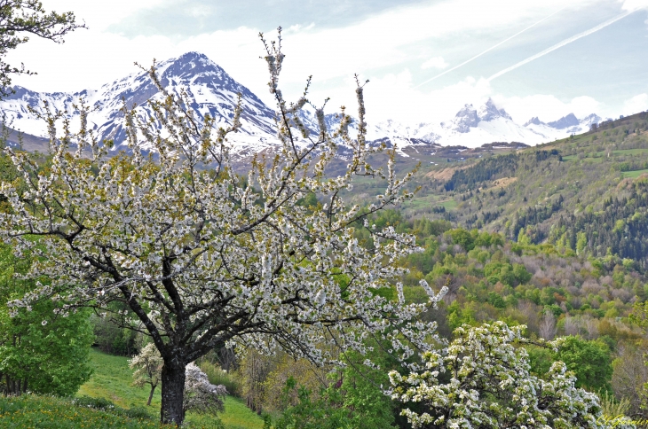 Le Buisson - Albiez-le-Jeune