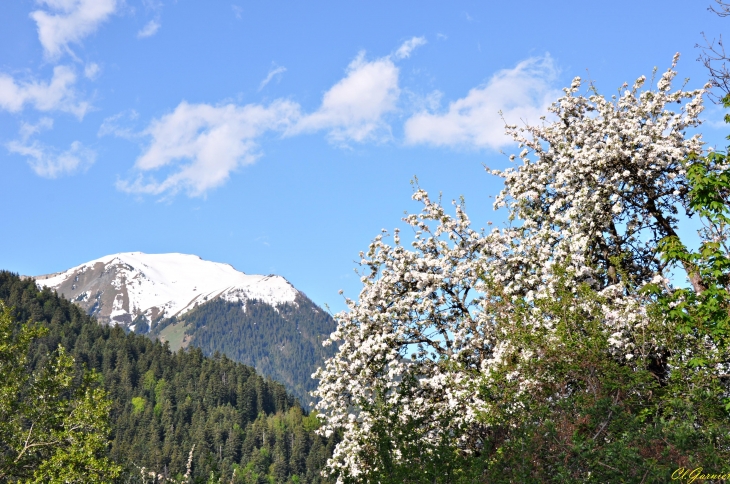 Le Mont Charvin - Albiez-le-Jeune