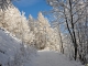 Piste de la Fesse ( bande de Terre )