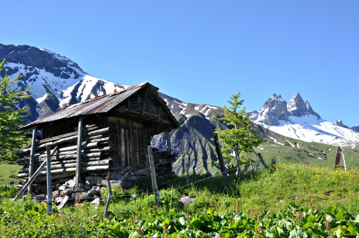 Pré Naret - Chez les Z'Heustache - Albiez-Montrond