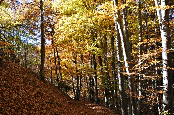 Sur la Roche - Gévoudaz - Albiez-Montrond