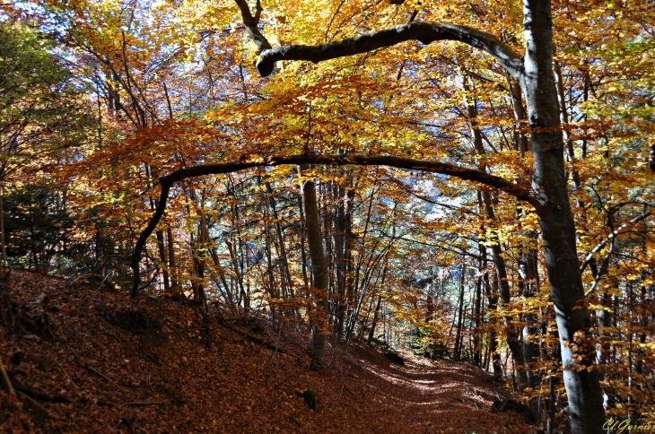 Sur la Roche - Gévoudaz - Albiez-Montrond