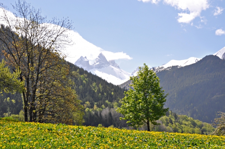 Le Collet d'en Haut - Albiez-Montrond