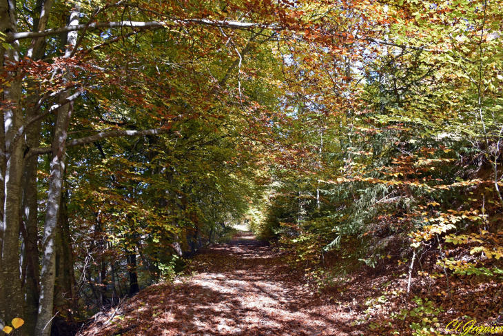 Les Côtes - La Cochette - Albiez-Montrond