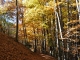 Photo précédente de Albiez-Montrond Sur la Roche - Gévoudaz