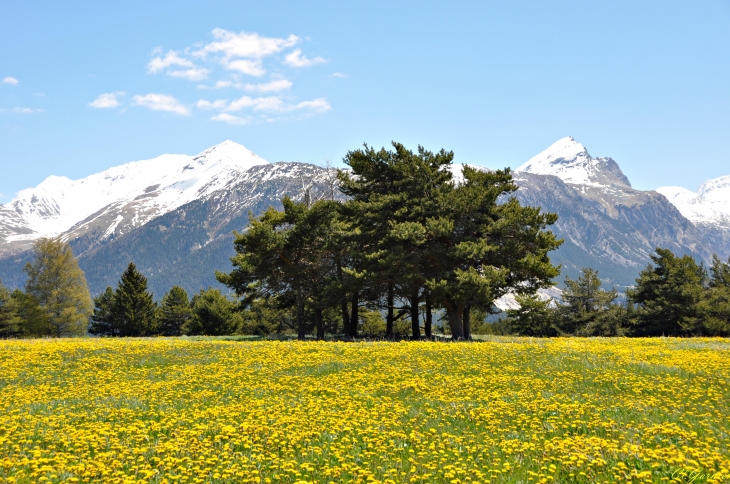 Les Lauzes - Aussois