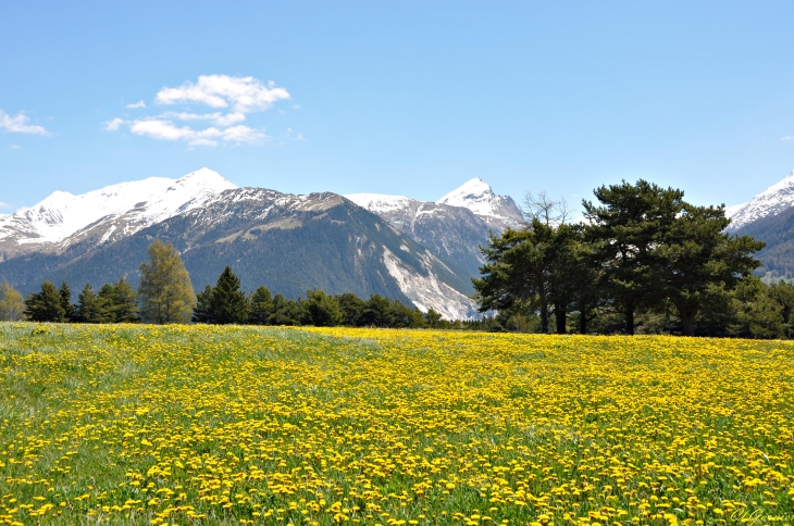 Les Lauzes - Aussois