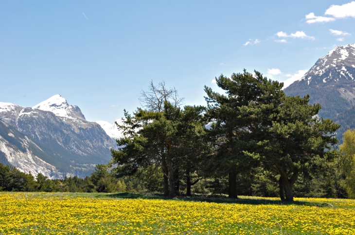 Les Lauzes - Aussois