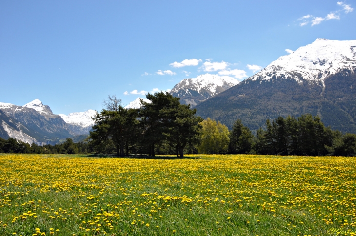 Les Lauzes - Aussois