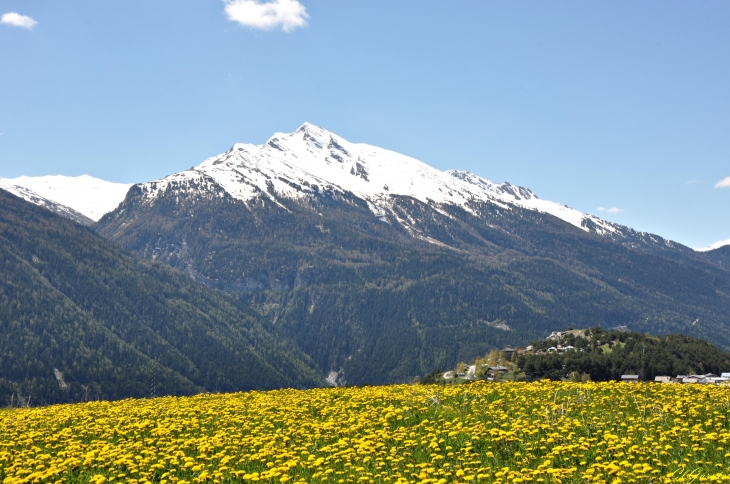 Aiguille de Scolette - Aussois