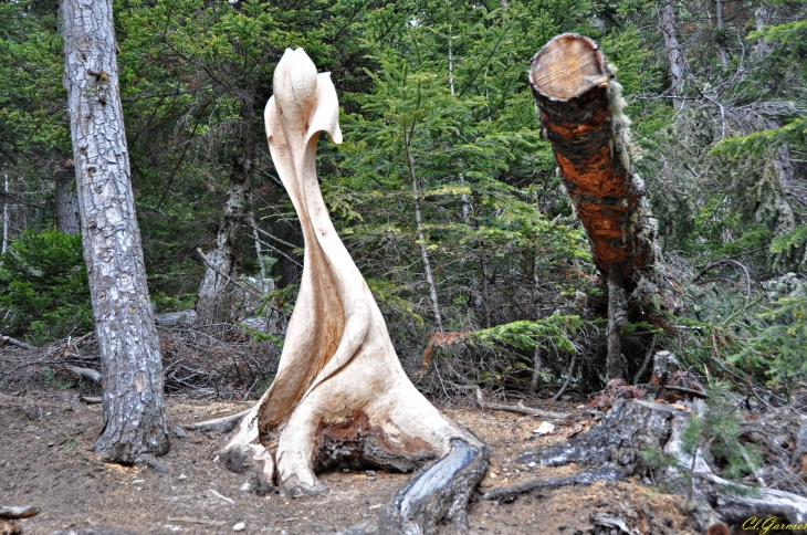 Hermaphrodite - Sculpture sur pied de Serge Couvert - Aussois