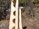 Photo précédente de Aussois L'Amitié de Serge Couvert - Sculpture taillée directement dans un mélèze sur pied