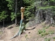 Photo précédente de Aussois Nuage & éclair - Sculpture de Serge Couvert