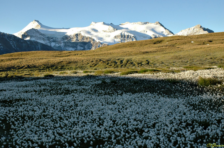 Glacier de l'Albaron - Plan des Eaux - Bonneval-sur-Arc