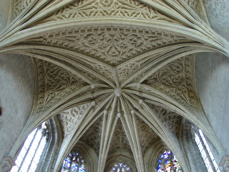 Le Plafond de la Sainte Chapelle - Chambéry