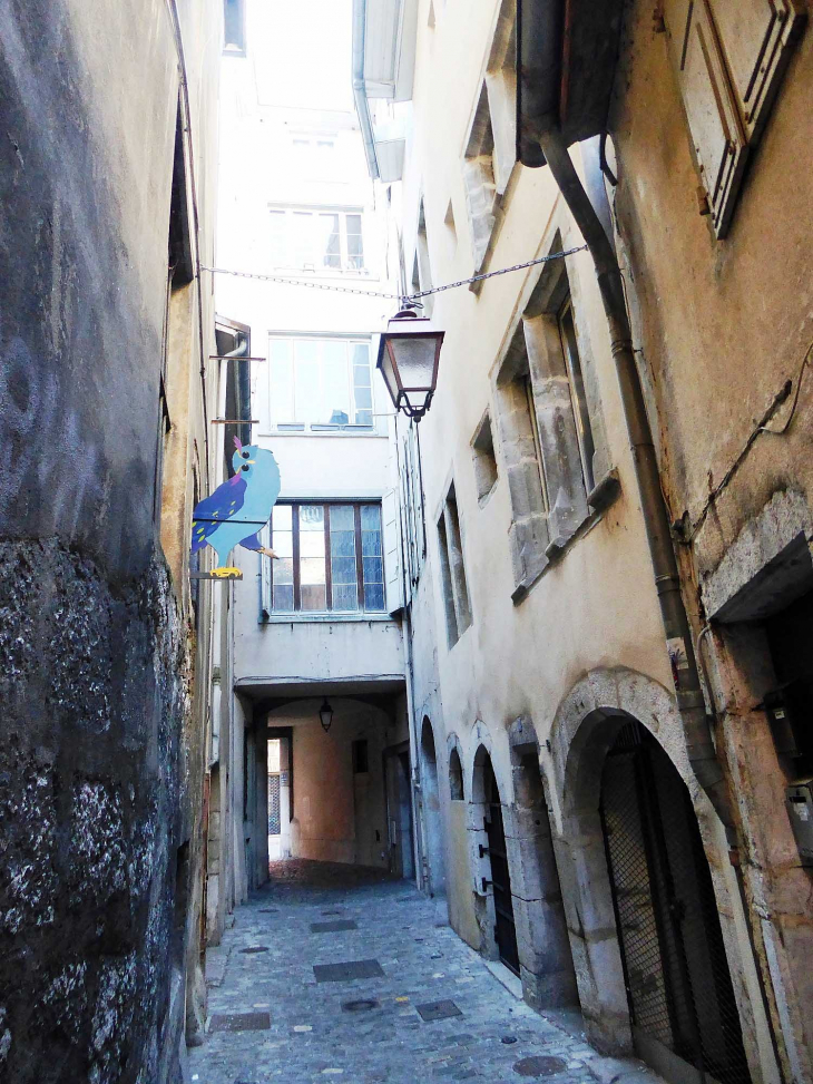 Ruelle Sainte Appolonie - Chambéry