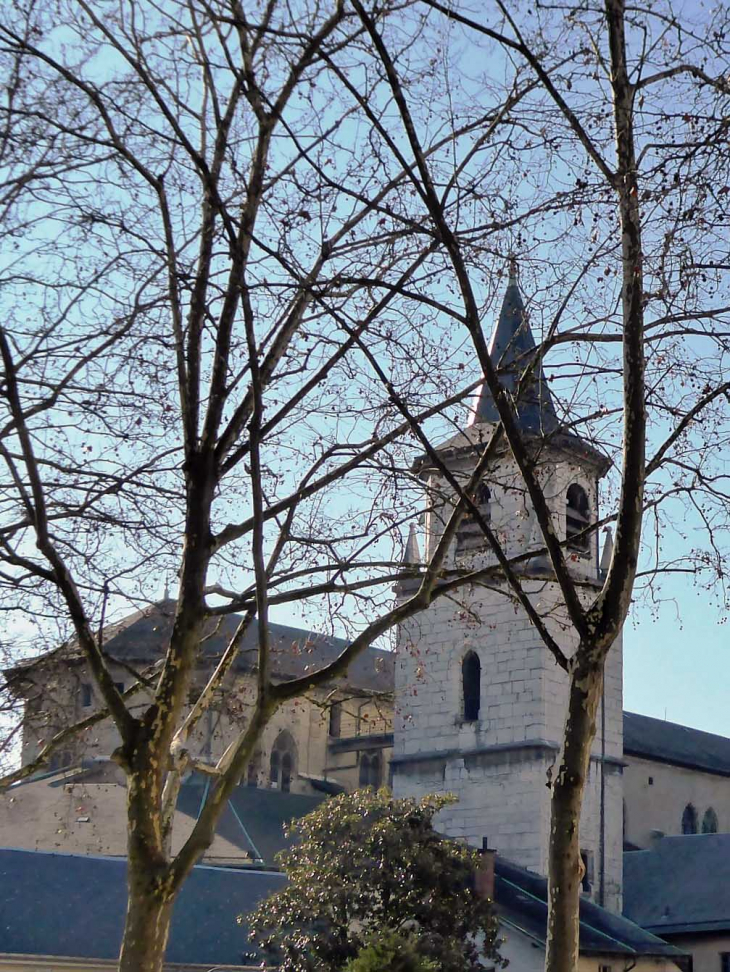 La cathédrale Saint François de Sales - Chambéry