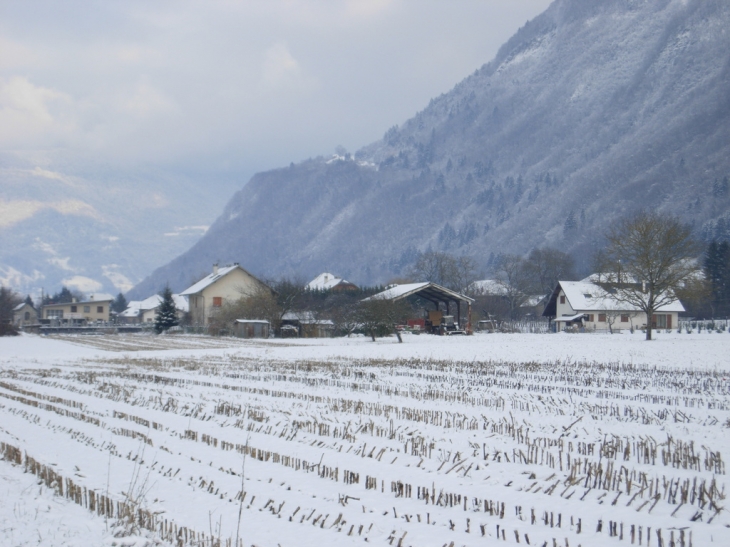 Chamoux sous son grand manteau blanc - Chamoux-sur-Gelon