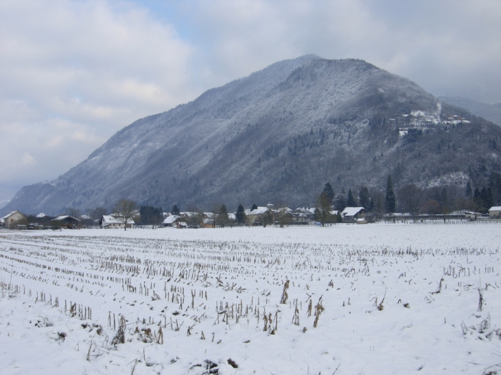 Sommeil d'hiver - Chamoux-sur-Gelon