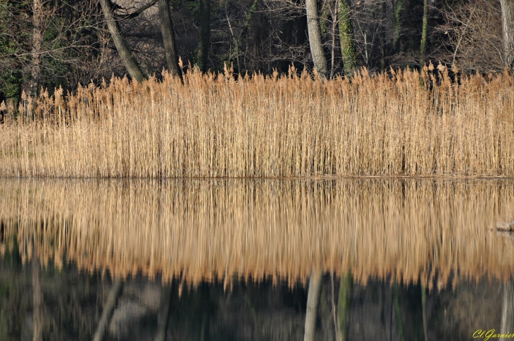 Lac de l'Echaillon - Hermillon