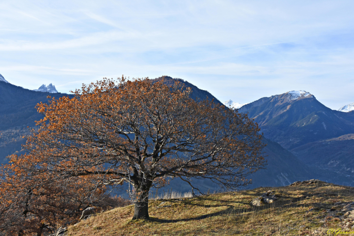 Vue sur les Aiguilles d'Arves & le Mont Charvin - Montandré - Hermillon