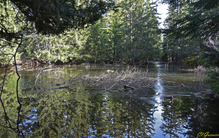 Ancien lac de Combe Rouge - Jarrier