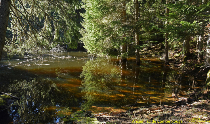 Ancien lac de Combe Rouge - Jarrier