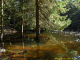 Photo précédente de Jarrier Ancien lac de Combe Rouge