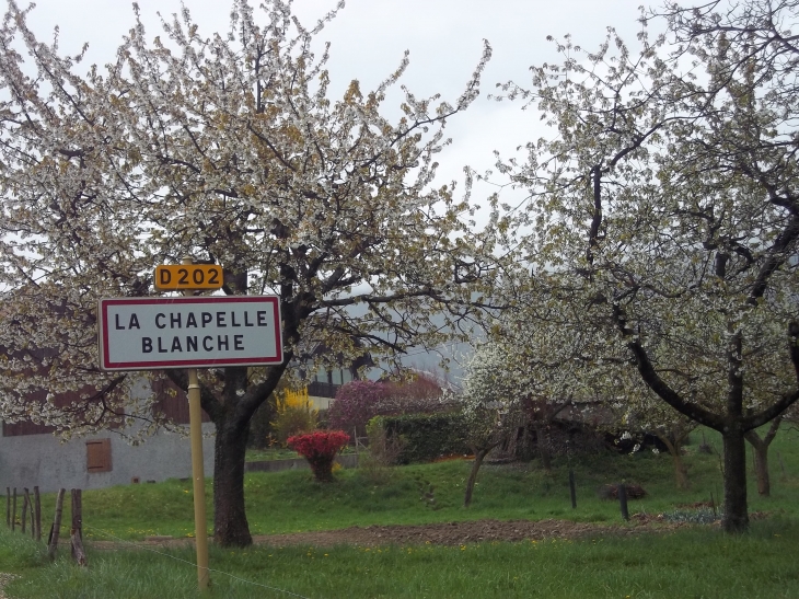  - La Chapelle-Blanche