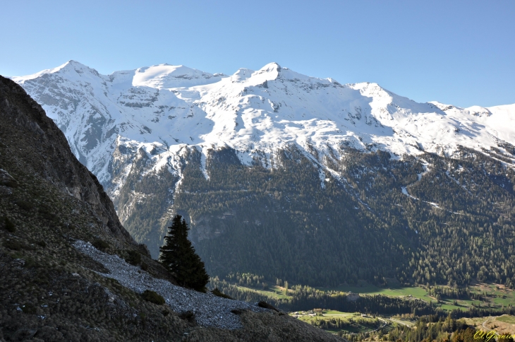 Glacier de l'Arcelle & La Pointe de Ronce - Lanslevillard