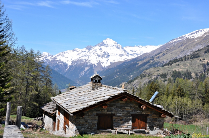 Chantelouve d'en haut - Lanslevillard