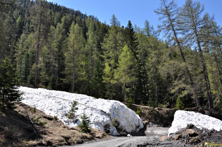 Reste d'avalanche - Chantelouve d'en haut - Lanslevillard