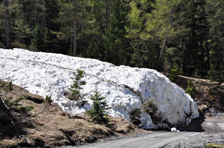 Reste d'avalanche - Chantelouve d'en haut - Lanslevillard