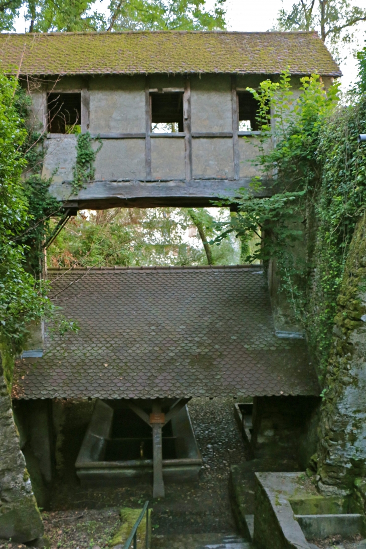 Le passage des Carmes et la source Saint-Félix. - Le Pont-de-Beauvoisin