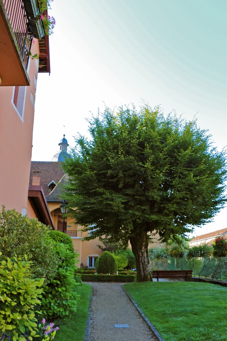 Jardin de la Salle Capitullaire. - Le Pont-de-Beauvoisin