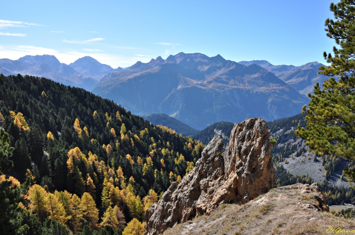 Descente de l'Estiva - Vallon de Polset - Modane