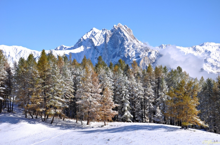 La Croix des Têtes - Montricher-Albanne