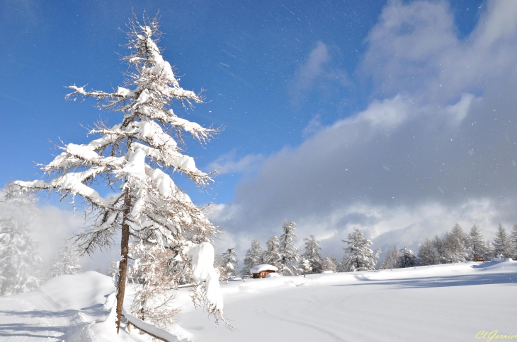 Importante chute de neige le 5/12 - 1.10 m au bord du lac de Pramol  - Montricher-Albanne