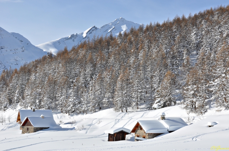 Dernières chutes de neige - Hameau de la Plagne - Albanne - Montricher-Albanne