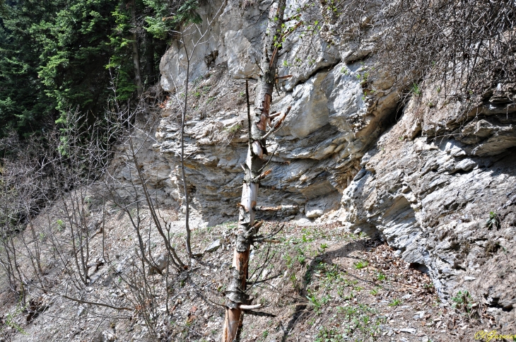 Sentier des Moulins - Montricher-Albanne