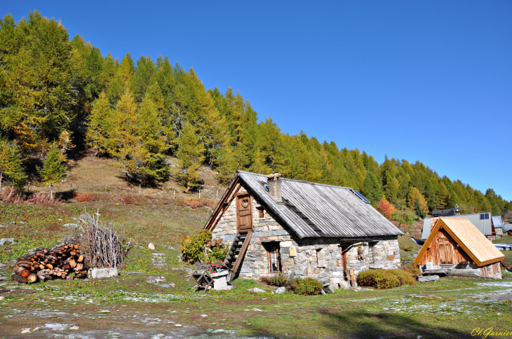 Hameau de la Plagne - Toit de mélèze - Montricher-Albanne