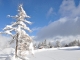 Photo suivante de Montricher-Albanne Importante chute de neige le 5/12 - 1.10 m au bord du lac de Pramol 