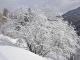 Station des Karellis-arbre-a-proximite-d-un-canon-a-neige