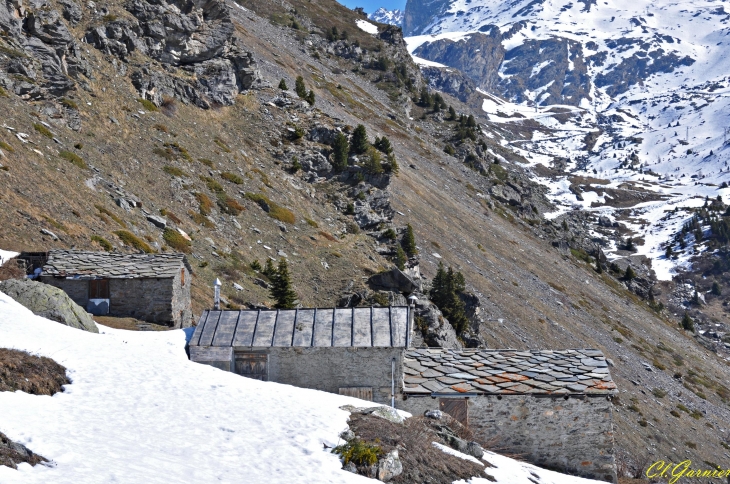 Les Teppes - Combe de l'Arcelin - Orelle