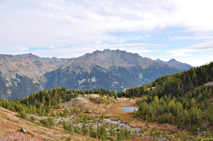 Le Loup - Orelle