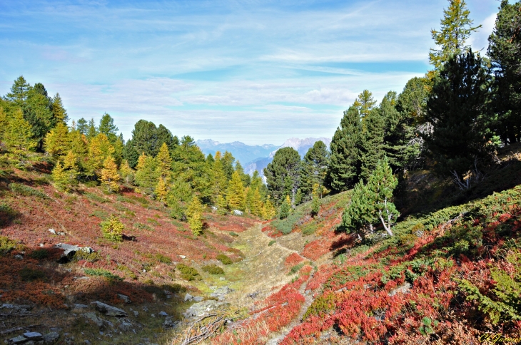 Descente de Mont Coburne - Longefan - Orelle